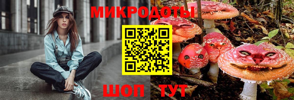Ревда  Псилоцибиновые грибы Psilocybe  Вход с VPN 